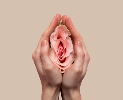 Cosmetic Gynecology 2 1 الرئيسية 7